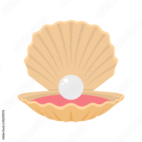 Opened Seashell with Pearl Inside. Seashell. Clam. Oyster.
