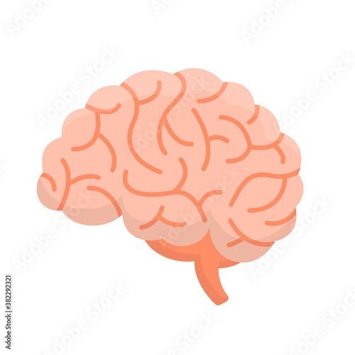 Intellectual Ability Concept. Brain Side View.