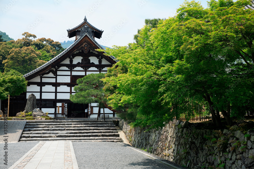 新緑の天竜寺