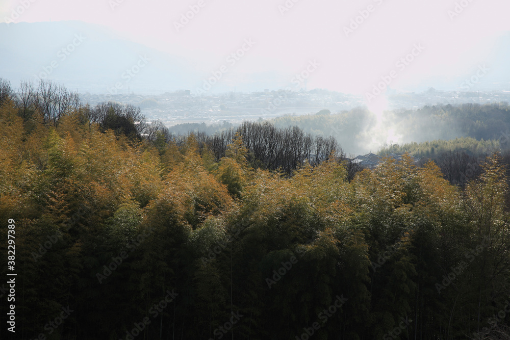 竹林と奈良盆地遠望 竹林と奈良盆地遠望