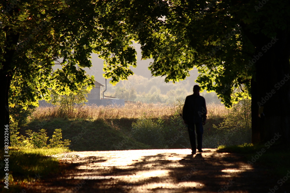 A dark silhouette of a man walking along a shady maple alley on a summer day. Walk in the fresh air
A dark silhouette of a man walking along a shady maple alley on a summer day. Walk in the fresh air