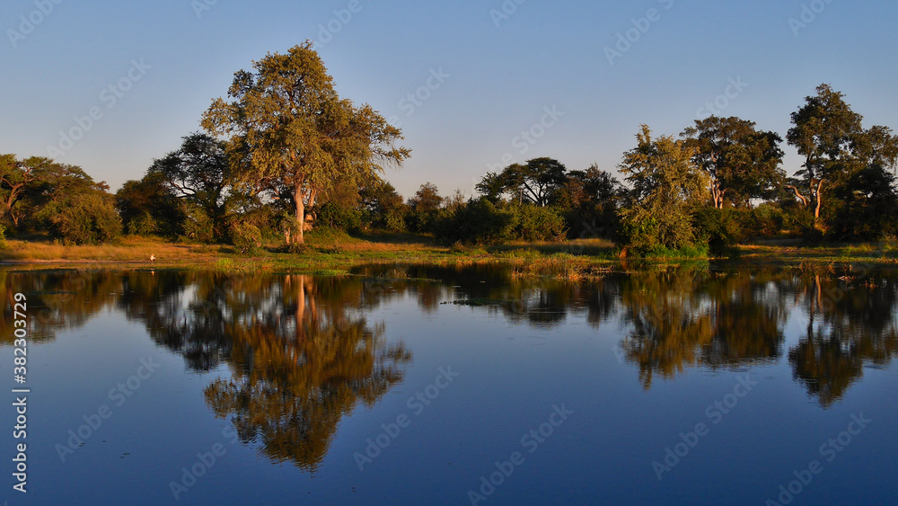 Waterhole with trees and sky reflected in the water and a single yellow-billed stork drying its plumage at the bank in the evening sun in Bwabwata National Park, Caprivi Strip, Namibia, Africa. Waterhole with trees and sky reflected in the water and a single yellow-billed stork drying its plumage at the bank in the evening sun in Bwabwata National Park, Caprivi Strip, Namibia, Africa.