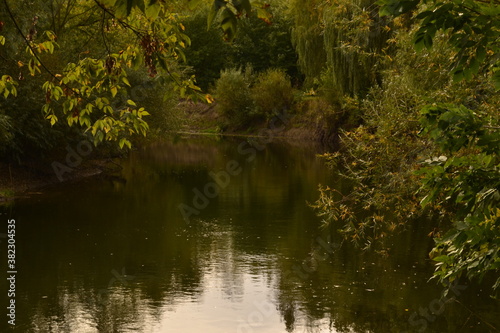 pond in the park