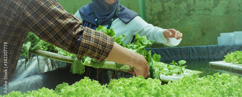 a man is moving a hydroponic plant with styrofoam into a pool of water with a woman.