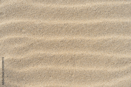 Sand texture. Top view. Sandy beach for background.