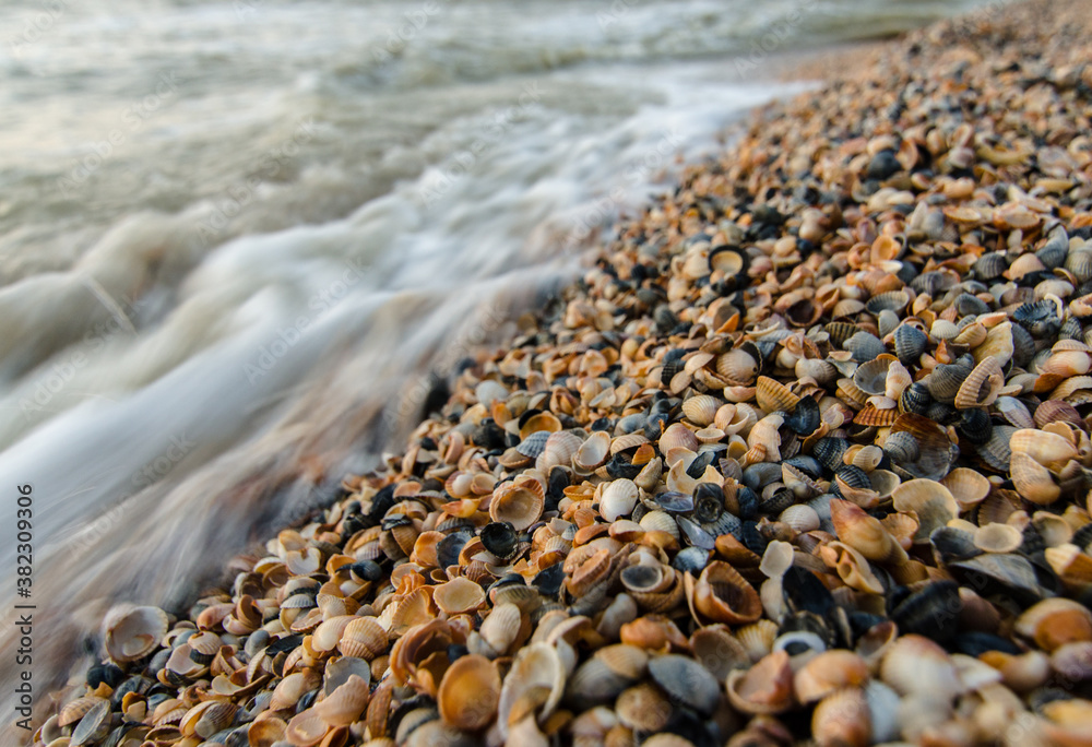 Obraz premium pebbles on the beach