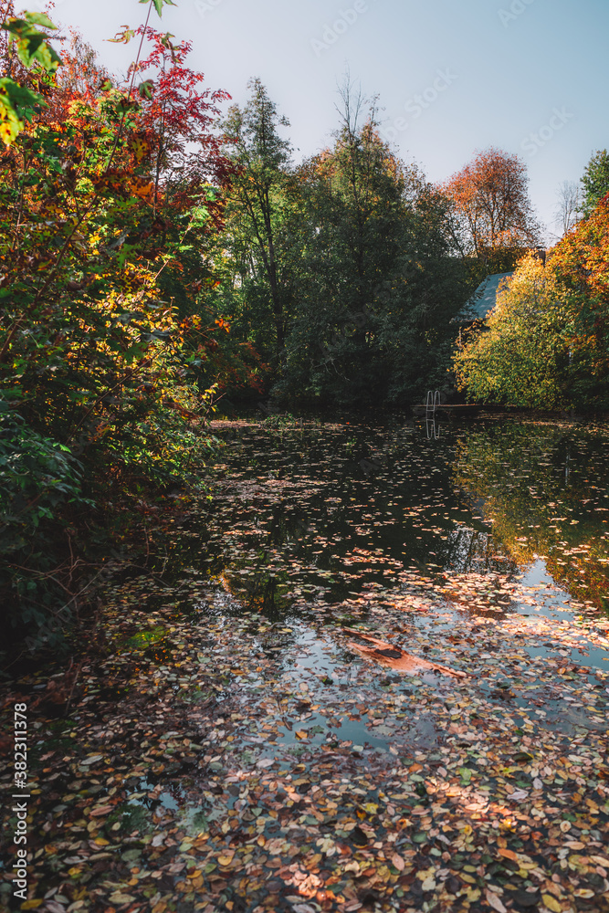Fototapeta premium Colorful autumn in the lake of Asikkala, Finland