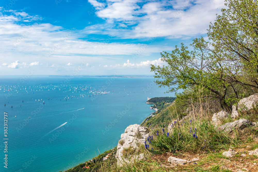The gulf of Trieste and the fast race of the Barcolana. Italy The gulf of Trieste and the fast race of the Barcolana. Italy