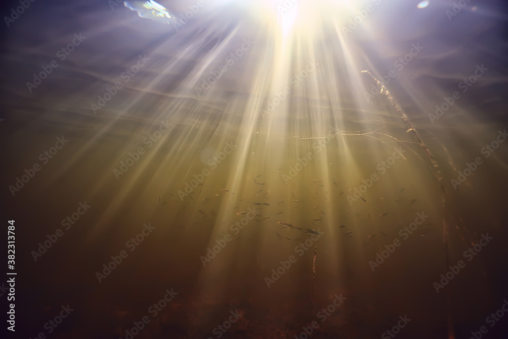 Fototapeta premium rays of light underwater fresh lake, abstract background nature landscape sun water