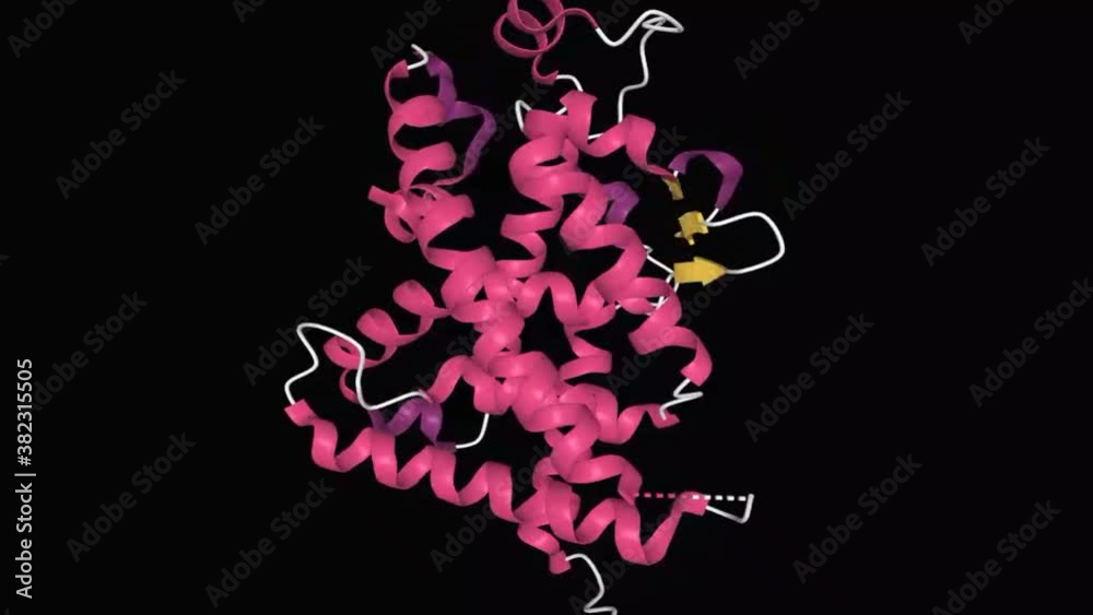 Vidéo Stock Animated model of the tertiary structure of human vitamin D ...