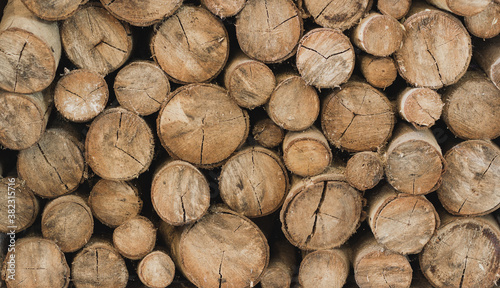 cut wood log pattern background