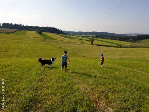 children are throwing sticks for a dog at beautiful landscape