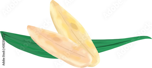 シンプルな笹の葉と笹かまぼこのイラスト