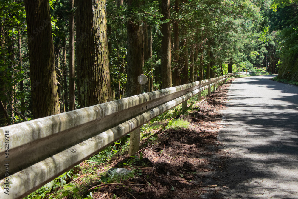 Obraz premium 一本道とガードレール