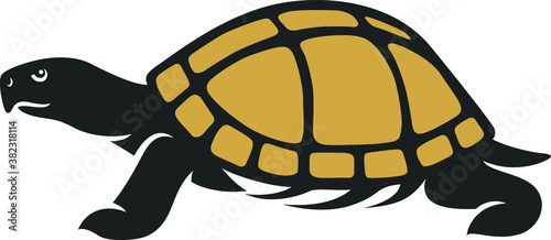 Illustration of Box Turtle Walking