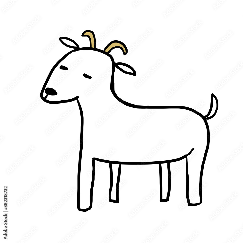 白いヤギ 白いヤギ