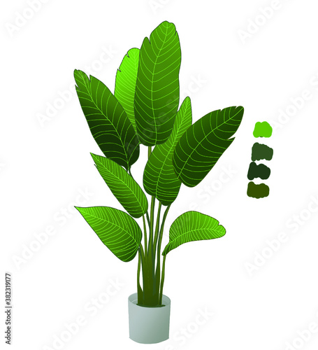 green plant in a pot