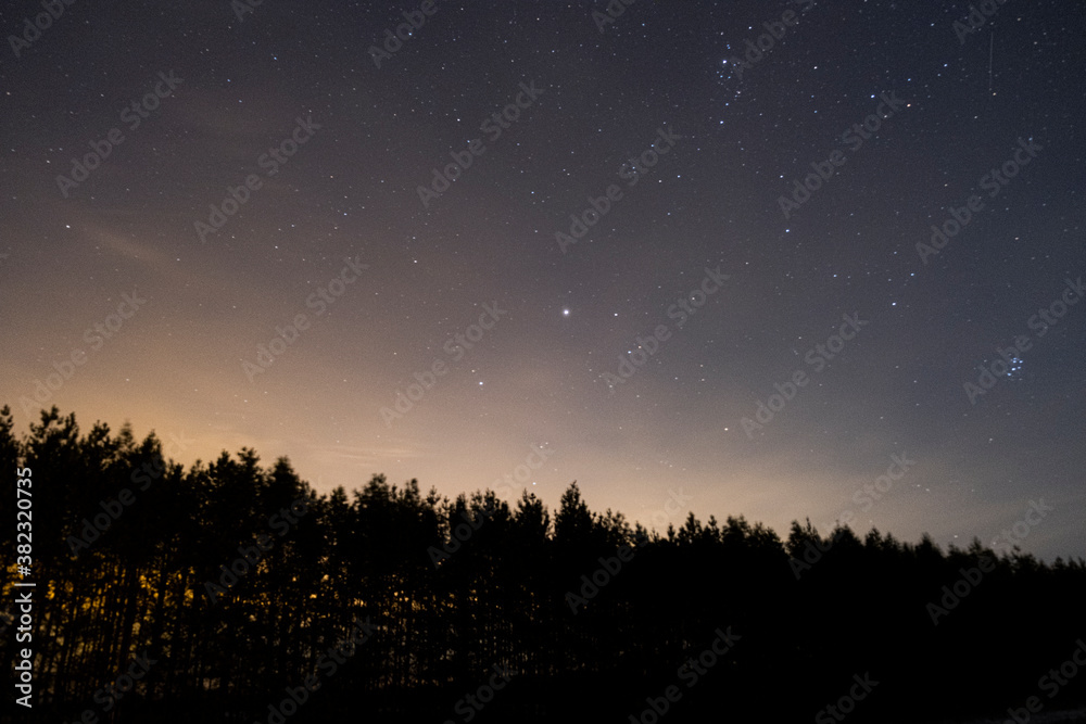 Fototapeta premium Up in stars