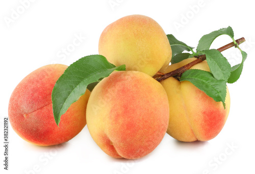 Branch with peaches isolated on a white background