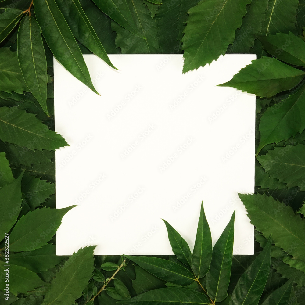 Trendy seasonal green leaves text frame background Trendy seasonal green leaves text frame background