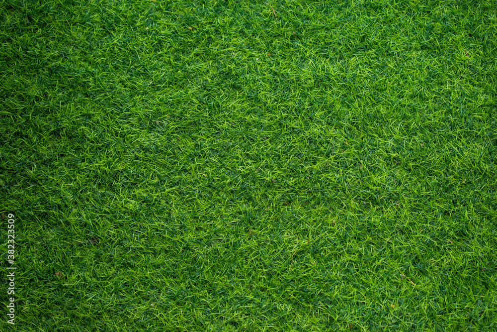 Obraz premium green grass background