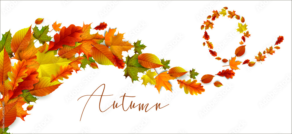 Greetings and gifts for the autumn and autumn season concept. Autumn background, poster and banner template with colorful autumn leaves.