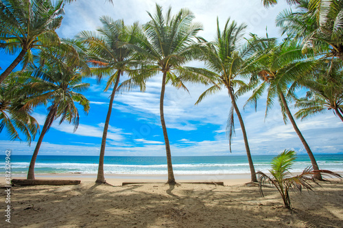 Beach with coconut trees in the tropical beach of Phuket Thailand. Overlooking sea water and blue sky. © Nos