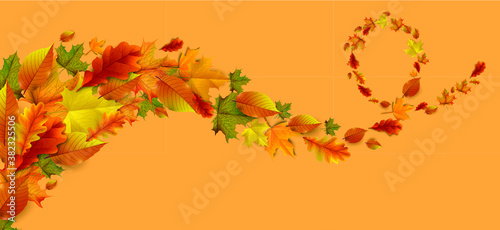Greetings and gifts for the autumn and autumn season concept. Autumn background  poster and banner template with colorful autumn leaves.