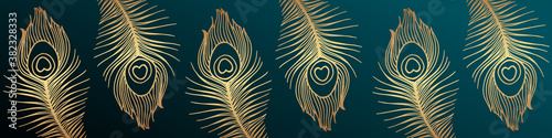 Luxury background for banner or header or wallpaper with golden peacock feathers on turquoise green.