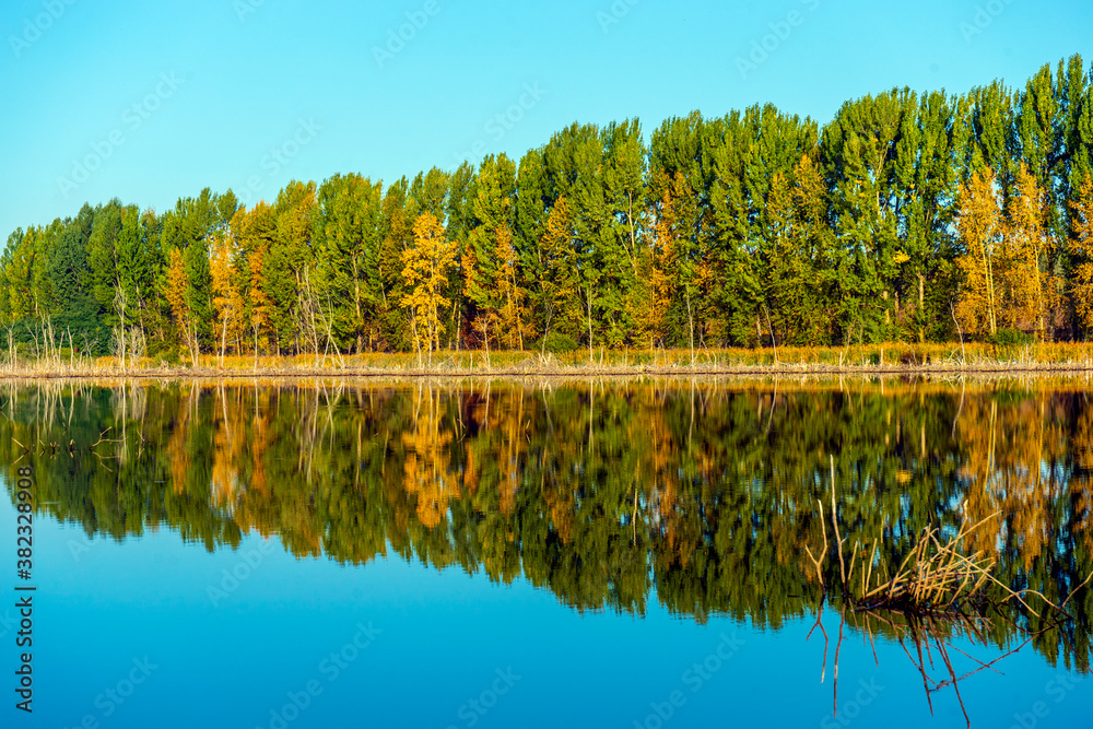 Colorful autumn trees near the river. Blue sky reflected in calm water. Landscape in sunny day.