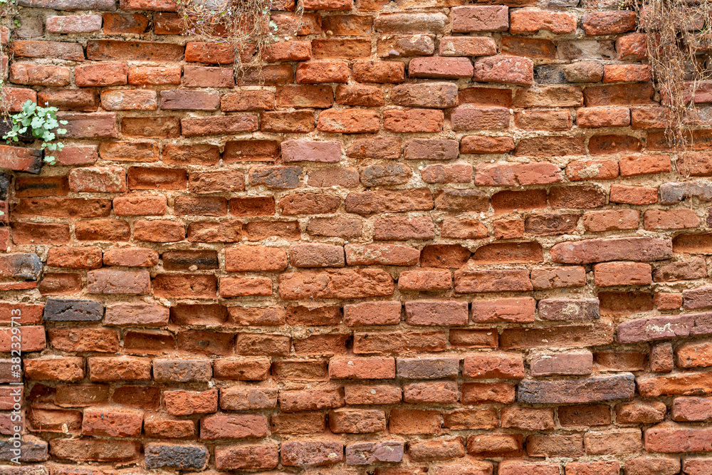 Fototapeta premium old brick wall background