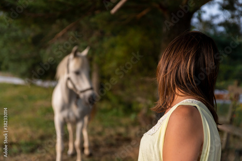Beautiful woman at horse farm with white horse in the background at sunset. Golden hour photography