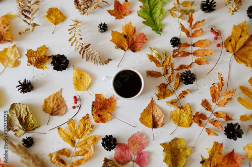 Black coffee in white cup among autumn leaves and cones on white table. Layout, top view