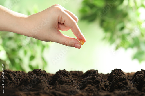Woman putting corn seed into fertile soil against blurred background, closeup with space for text. Vegetable planting