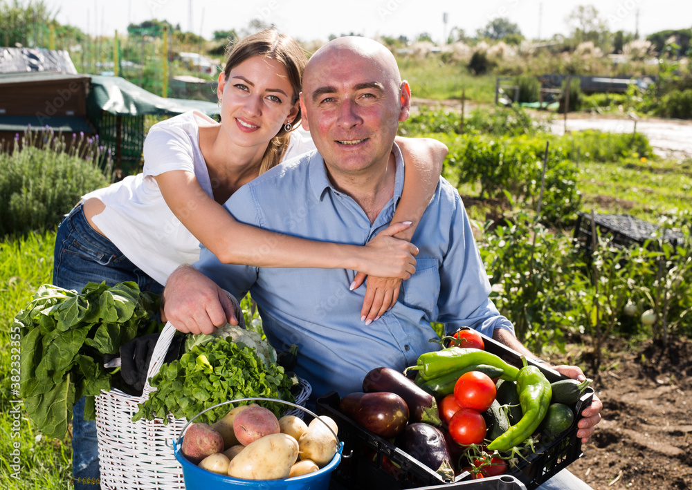 Obraz premium Joyful couple with a basket of vegetables in the garden. High quality photo