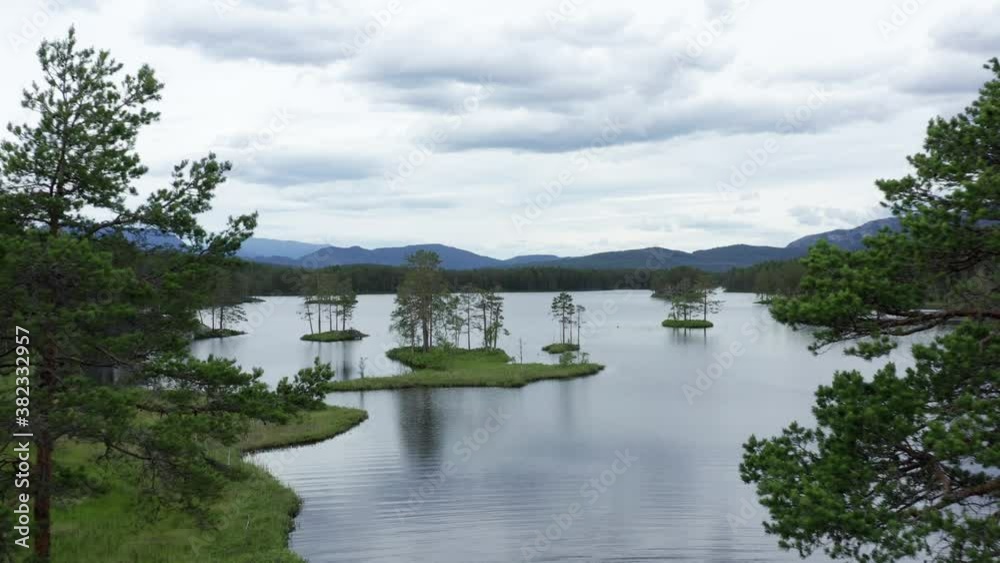 Beautiful Swedish landscape forest lake and mountains. Aerial drone shot close by and through Pine Fir or Spruce Tree. Cloudy day in summer time in natural Sweden nature environment Beautiful Swedish landscape forest lake and mountains. Aerial drone shot close by and through Pine Fir or Spruce Tree. Cloudy day in summer time in natural Sweden nature environment