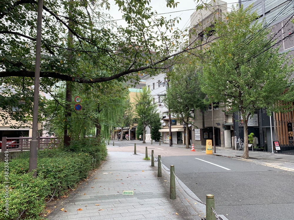 Fototapeta premium alley in the park