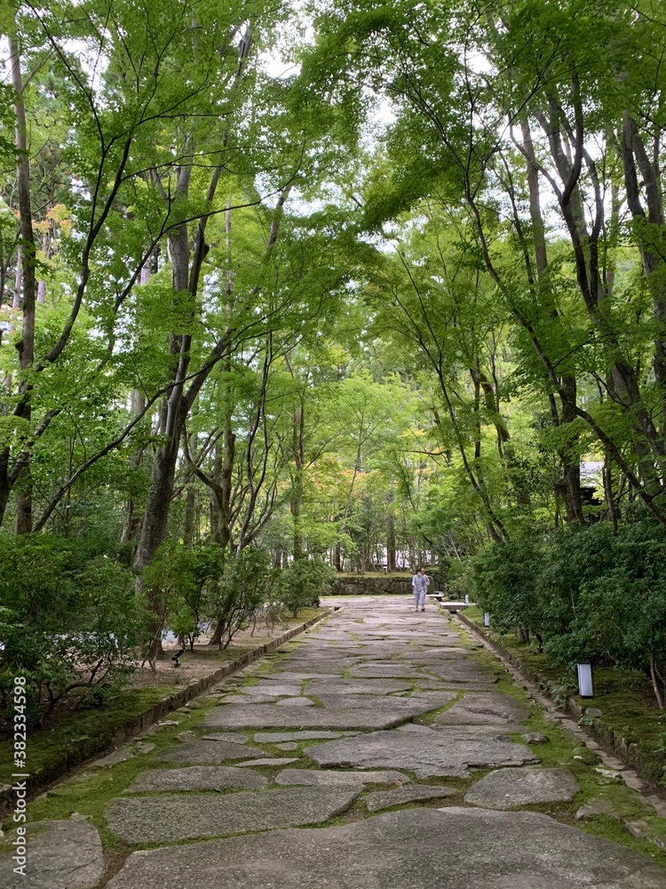 path in the park