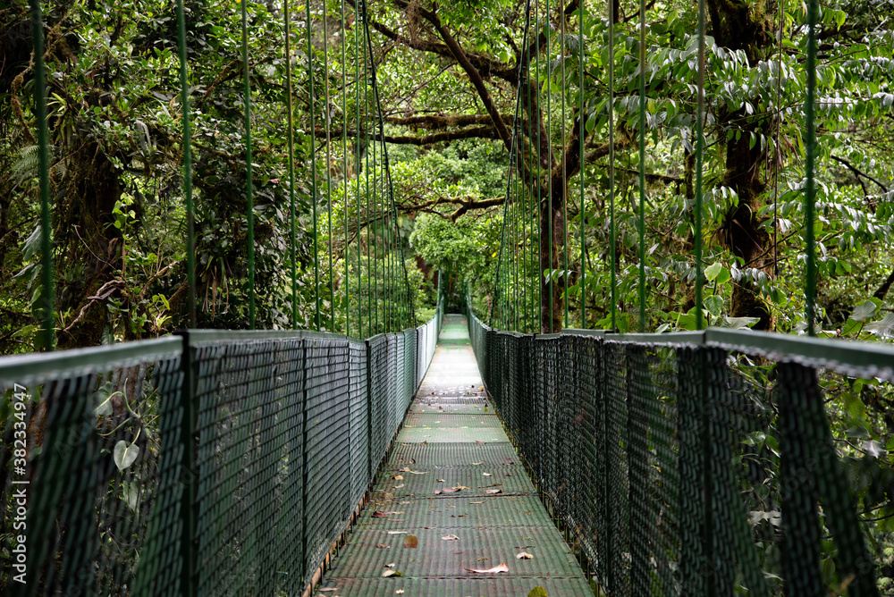 Monteverde Cloud Forest hanging bridge, Costa Rica, cloudy jungle empty, suspension chain bridge over and through the moist wet Rainforest