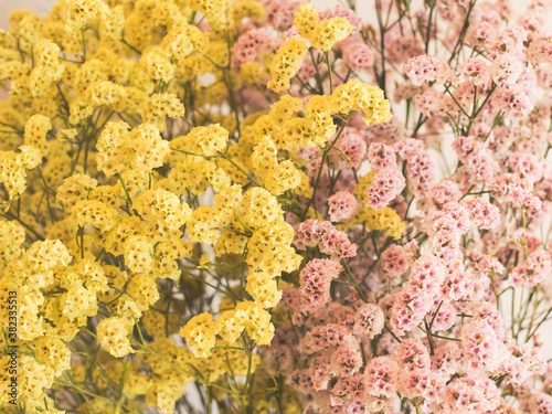Dried pink and yellow flowers in white vase against white wall. Home interior autumn decor texture background