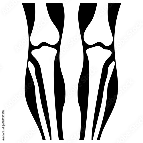 
Knee joint icon vector
