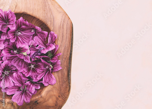 Mallow Blossoms in a Bowl  Spa treatment  Wellness
