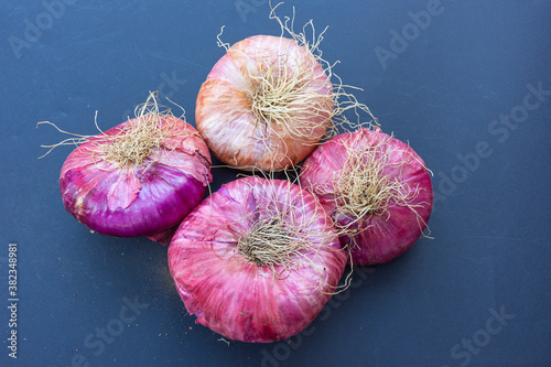 Obraz na płótnie Close up of giant pink onions w salonie