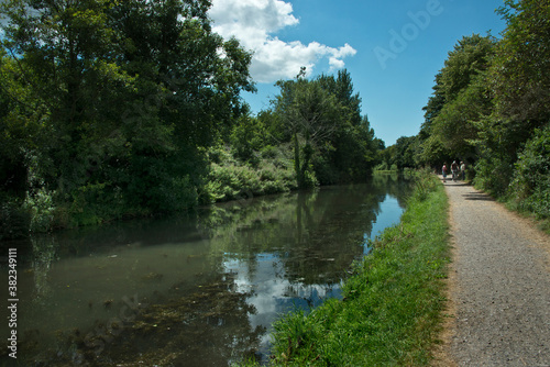 Chichester canal towpath on a sunny day.