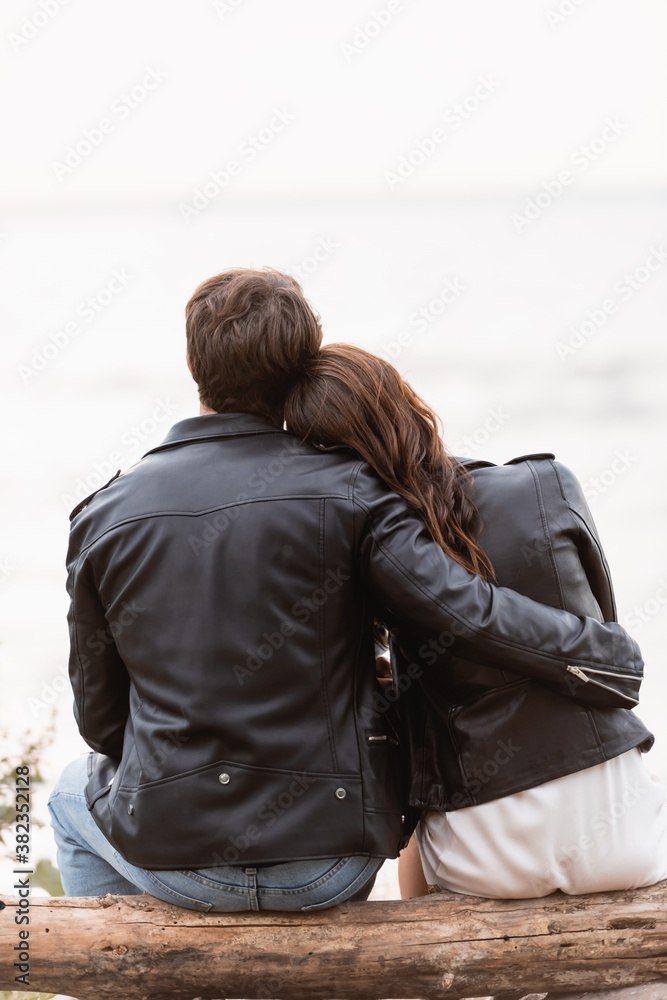 Back view of man in leather jacket embracing girlfriend on wooden log near sea Back view of man in leather jacket embracing girlfriend on wooden log near sea