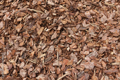 Close up of wood chip on the ground