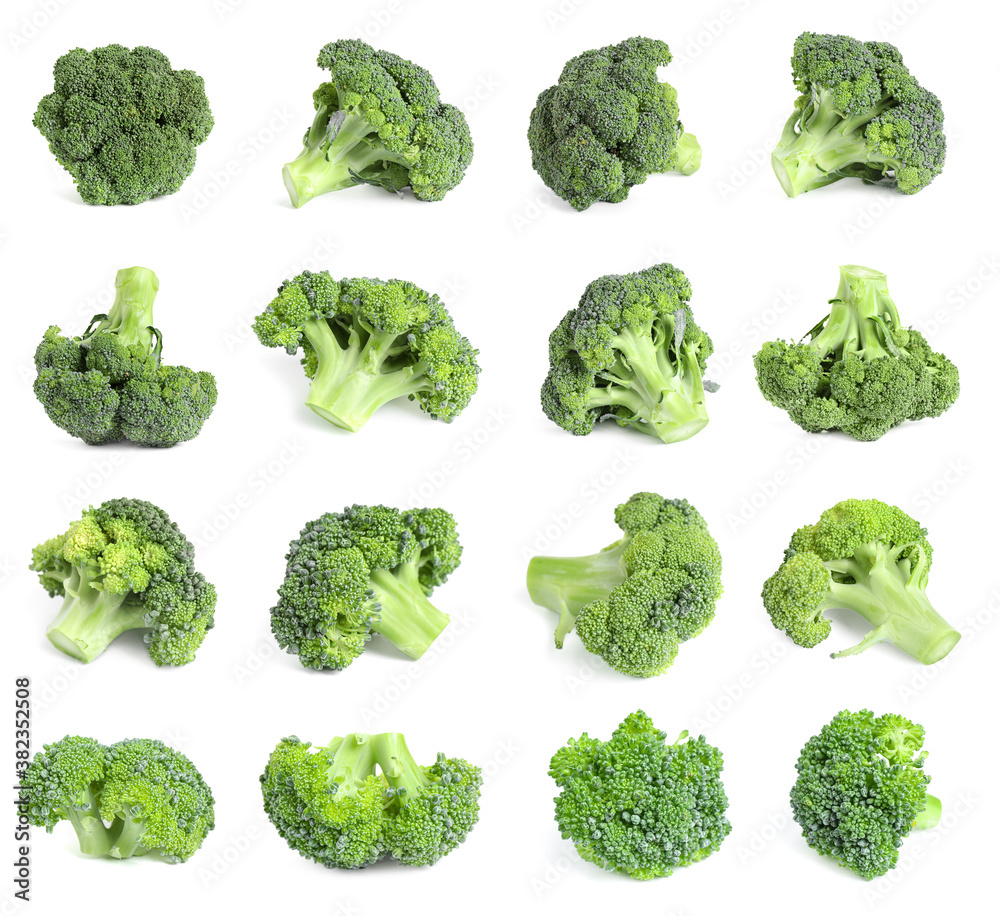 Set of fresh green broccoli on white background Set of fresh green broccoli on white background