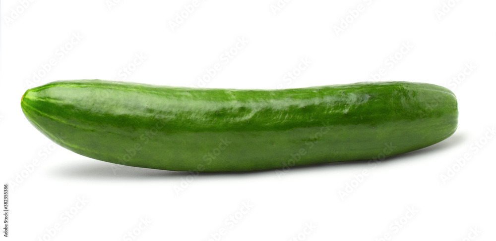Single cucumber isolated on white background,Agricultural products. Single cucumber isolated on white background,Agricultural products.
