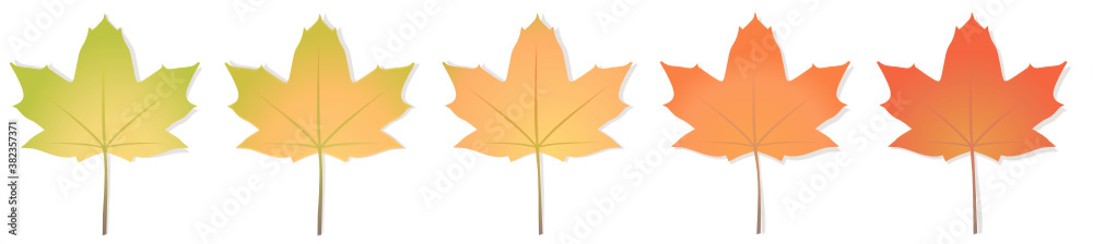 Obraz premium Collection de feuilles d'érables avec un dégradé aux couleurs automnales