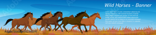 Vector illustration of wild horses. They gallop across a meadow in autumn. Panorama banner